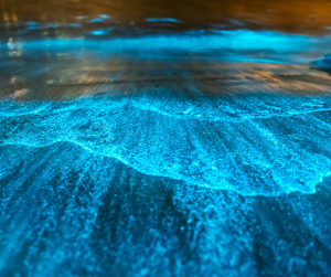 Maldives Beaches Glow