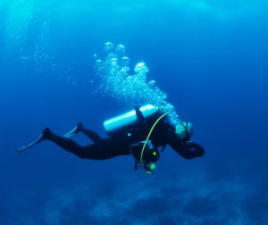 Best Time to Dive in the Maldives