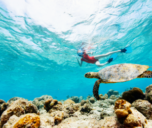 Best Maldives Resorts for Snorkeling
