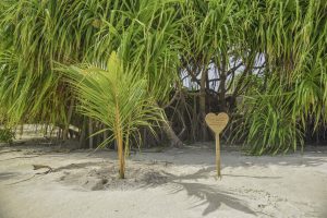 8 Unique Experiences in the Maldives