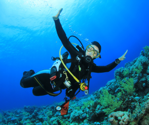 Maldives Diving