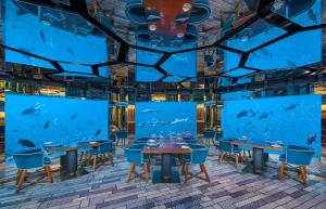 Maldives Underwater Restaurants and Rooms - Private Dining in the Maldives