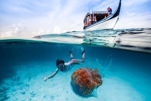 Snorkeling in the Maldives