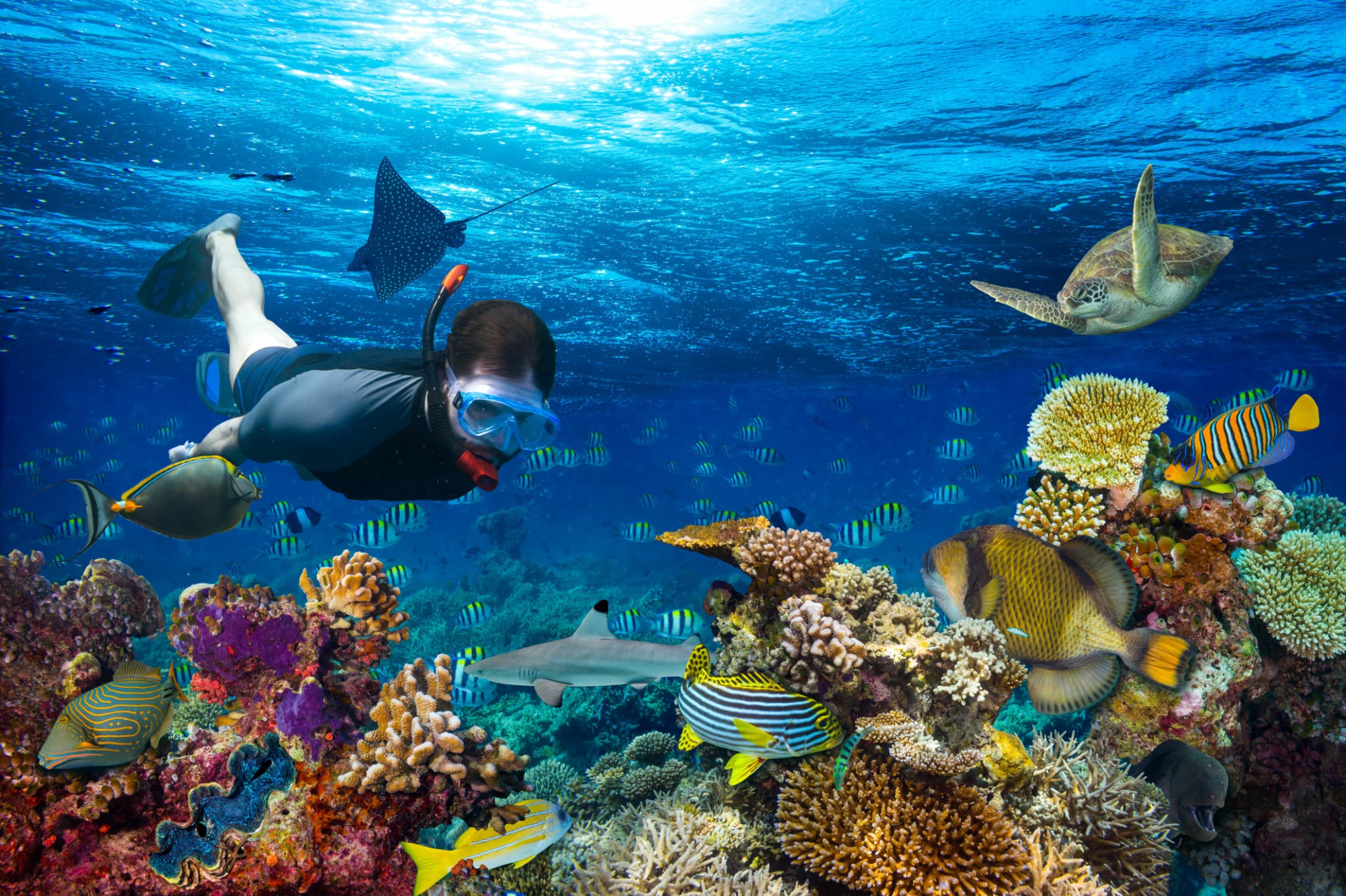 Snorkeling In The Maldives Go Ocean