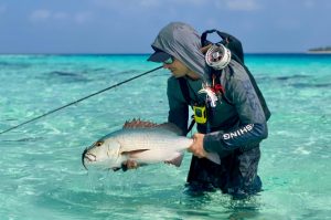 Fly Fishing in the Maldives